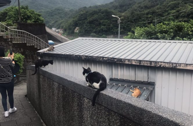 台湾の猫村 平渓線の猴硐 ホウトン 駅を観光 徹底ガイド 行き方 運賃 所要時間の解説 ミニマルトリップ