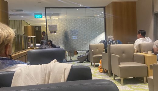 【シンガポール･チャンギ空港】第3ターミナル Ambassador Transit Lounge中の様子