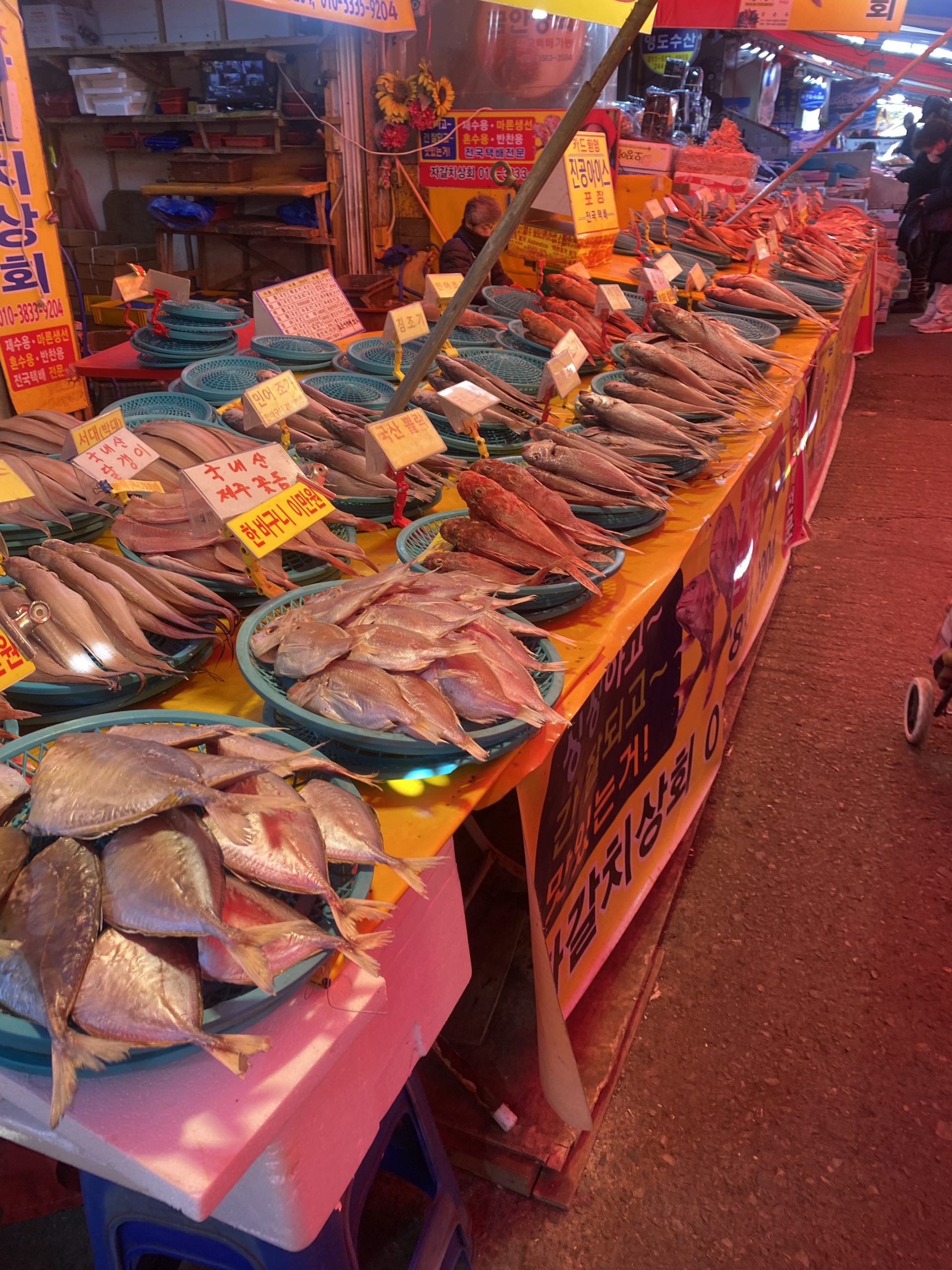 釜山旅行 観光 チャガルチ市場