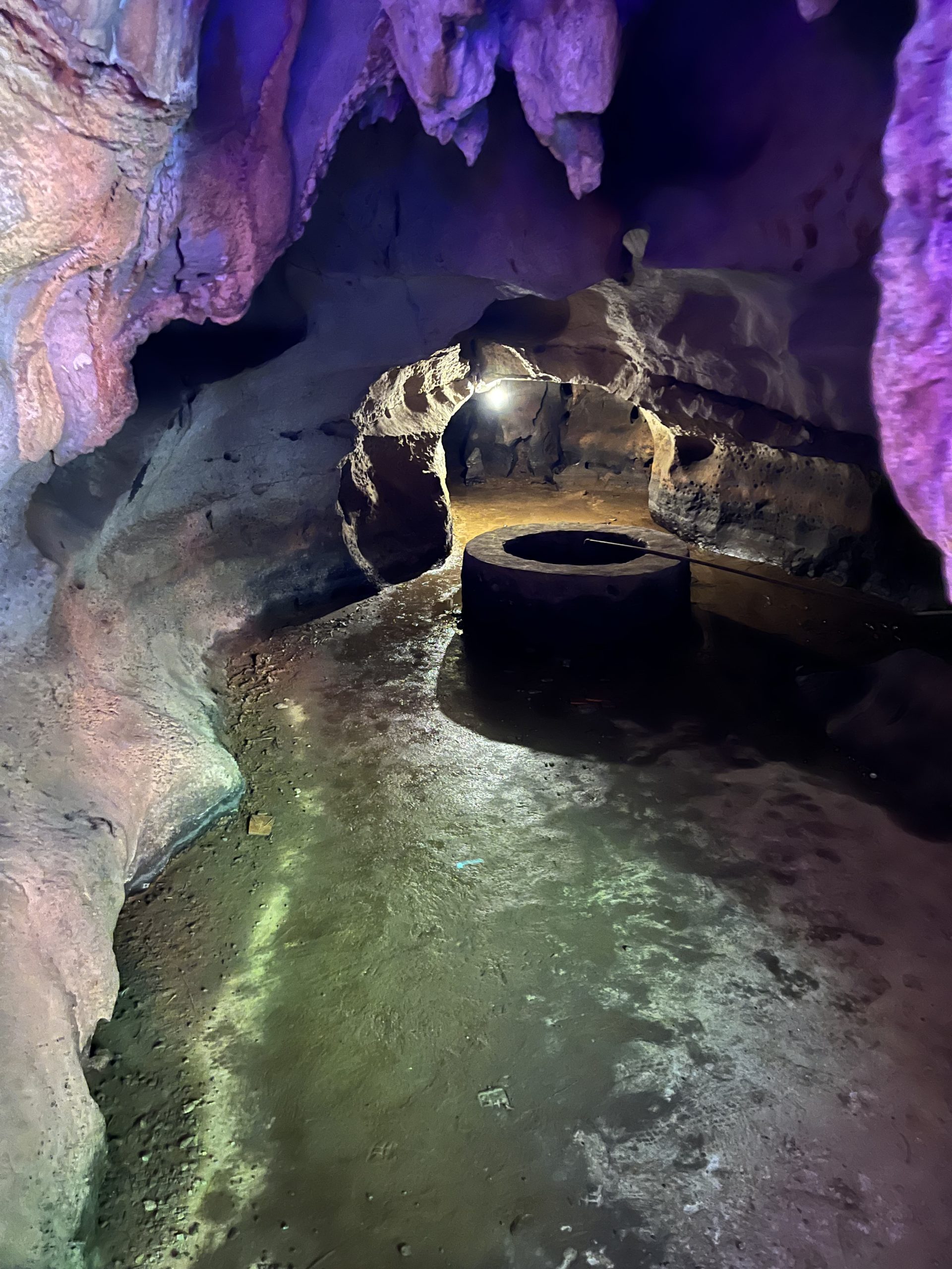 ベトナム ハノイ 観光 ニンビンツアー ムア洞窟